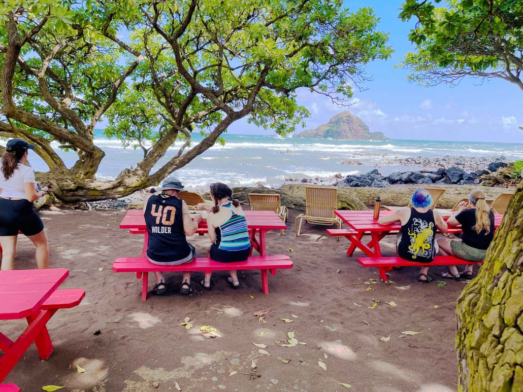 stop for lunch down at the beach for a local favorite huli huli chicken and ribs private hana highway tasting tour