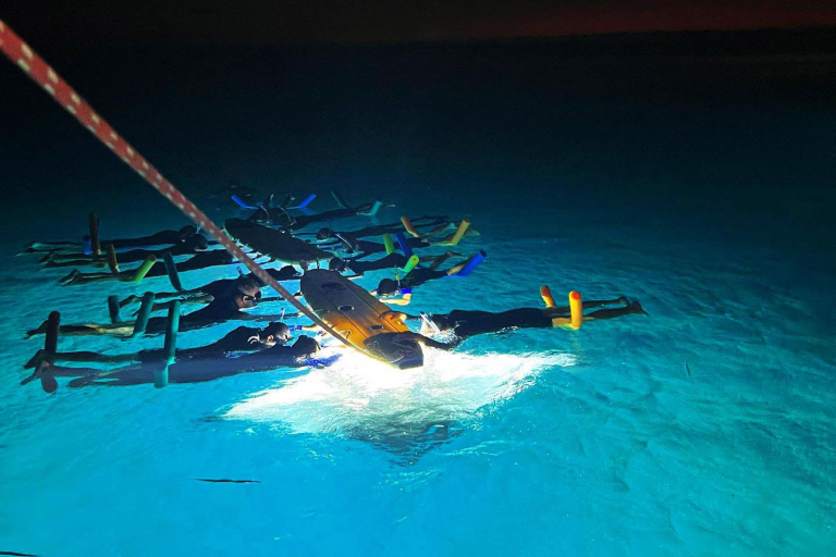 A Fantastic Snorkel Experience Manta Ray Night Snorkel Adventure Boat Tours 