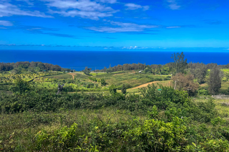 Aatvadventure Explore The Waipio Ranch Utv Historic Farm