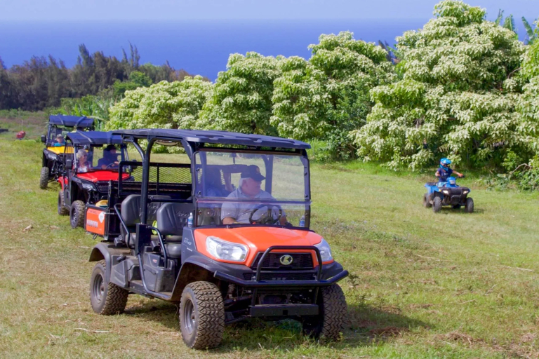 Aatvadventure Explore The Waipio Ranch Utv Ride All Over Ranch