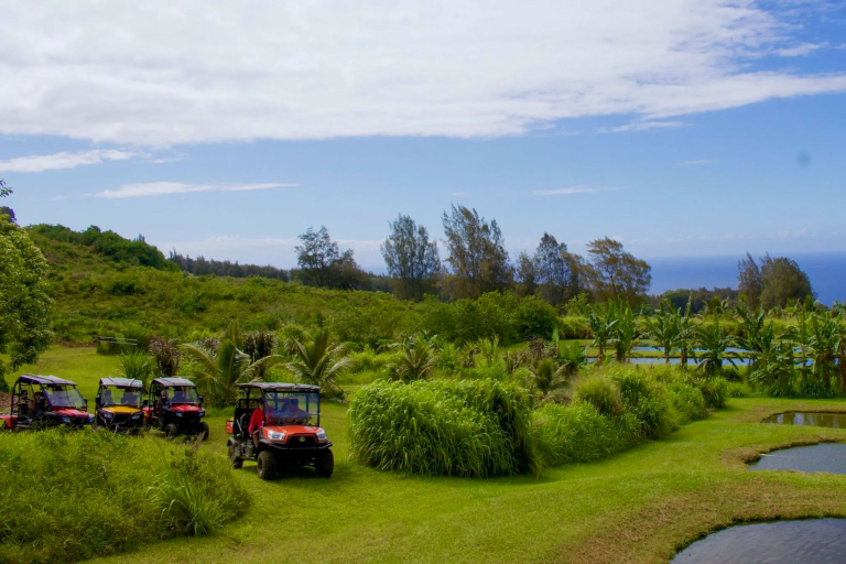 Aatvadventure Explore The Waipio Ranch Utv Ride Over Ranch