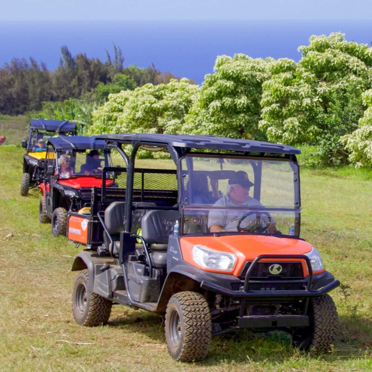 Aatvadventure Explore The Waipio Ranch Utv Tour Utv