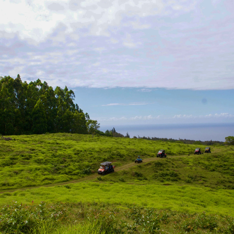 Aatvadventure Explore The Waipio Ranch Utv Tour Utv Far View