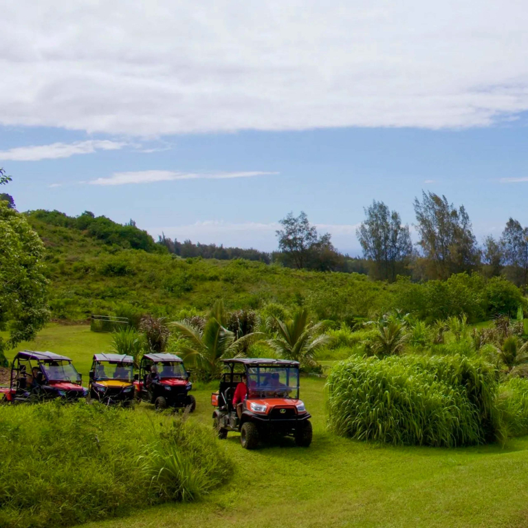 Aatvadventure Explore The Waipio Ranch Utv Tour Utv Ride