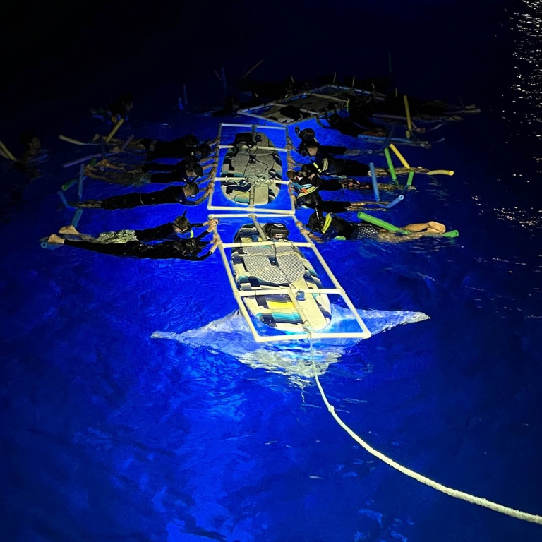 Adventurexboattour Hawaii Manta Ray Night Snorkel Guests Experience 