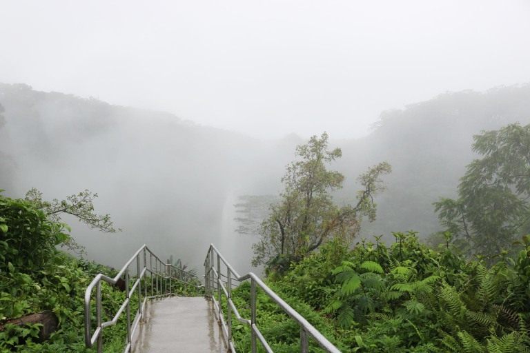 akaka falls state park big island hawaii shutterstock