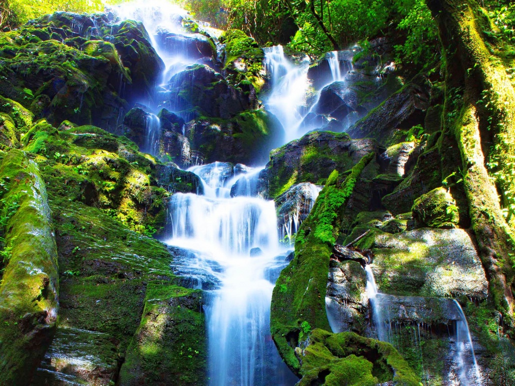 beautiful waterfalls sightseeing jungle zipline maui michaelhannigIphotography