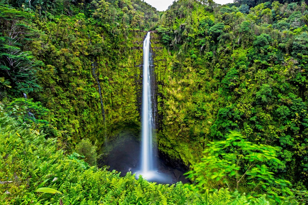 hawaii akaka falls great shot