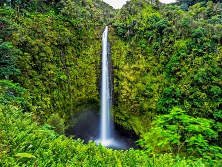 hawaii akaka falls great shot