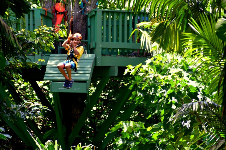 maui most popular activities jungle zipline