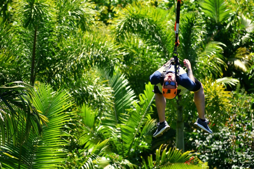 see hundreds of tropical plants on the wonderful eco tour jungle zipline maui
