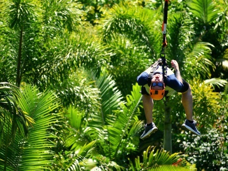 see hundreds of tropical plants on the wonderful eco tour jungle zipline maui