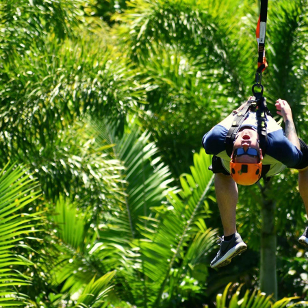See Hundreds Of Tropical Plants On The Wonderful Eco Tour Jungle Zipline Maui Product