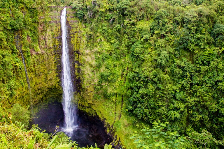 the akaka falls in the akaka falls state park on big island