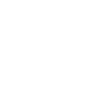 vip ticket ico
