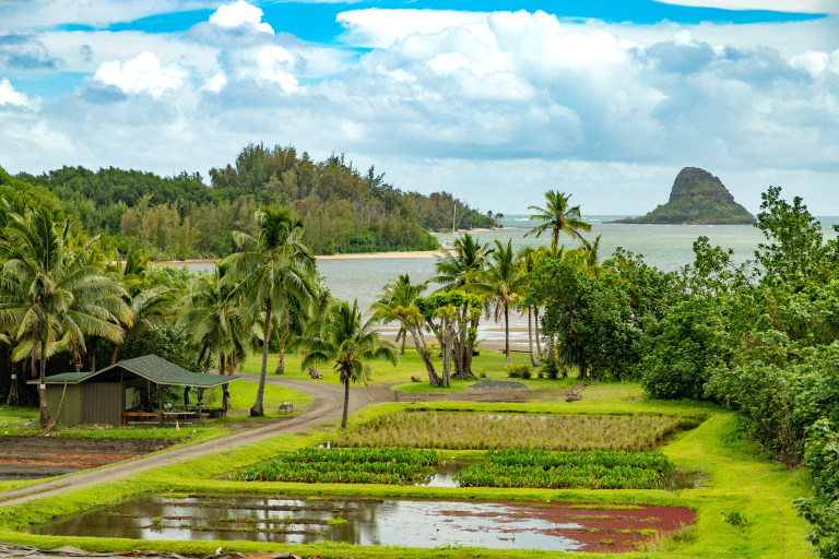 Kualoa Grown Tour Kualoa Ranch Oahu hawaiitoursphoto-6 Kualoa Hawaii Grown Tour Farm Grounds Kualoa Ranch Oahu