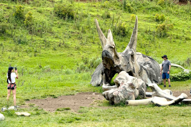 Movie Tour Kualoa Ranch Oahu hawaiitoursphoto-5 Movie Tour Skulls Kualoa Ranch Oahu