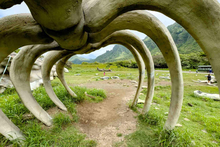 Movie Tour Kualoa Ranch Oahu hawaiitoursphoto-7 Movie Tour Sites Kualoa Ranch Oahu