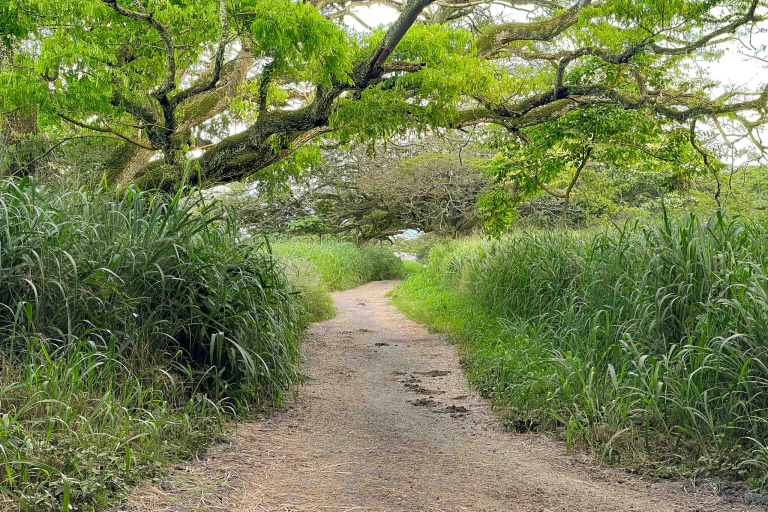 Jungle Expedition Tour Kualoa Ranch Oahu hawaiitoursphoto-7 Jungle Expedition Tour Kualoa Ranch Oahu