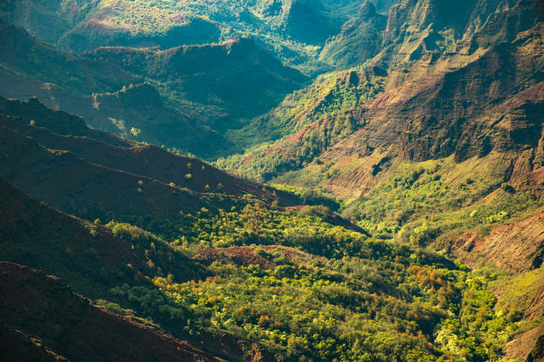 a-birds-eye-view-of-the-deep-emerald-valleys-waimea-canyon-in-kauai-768x512