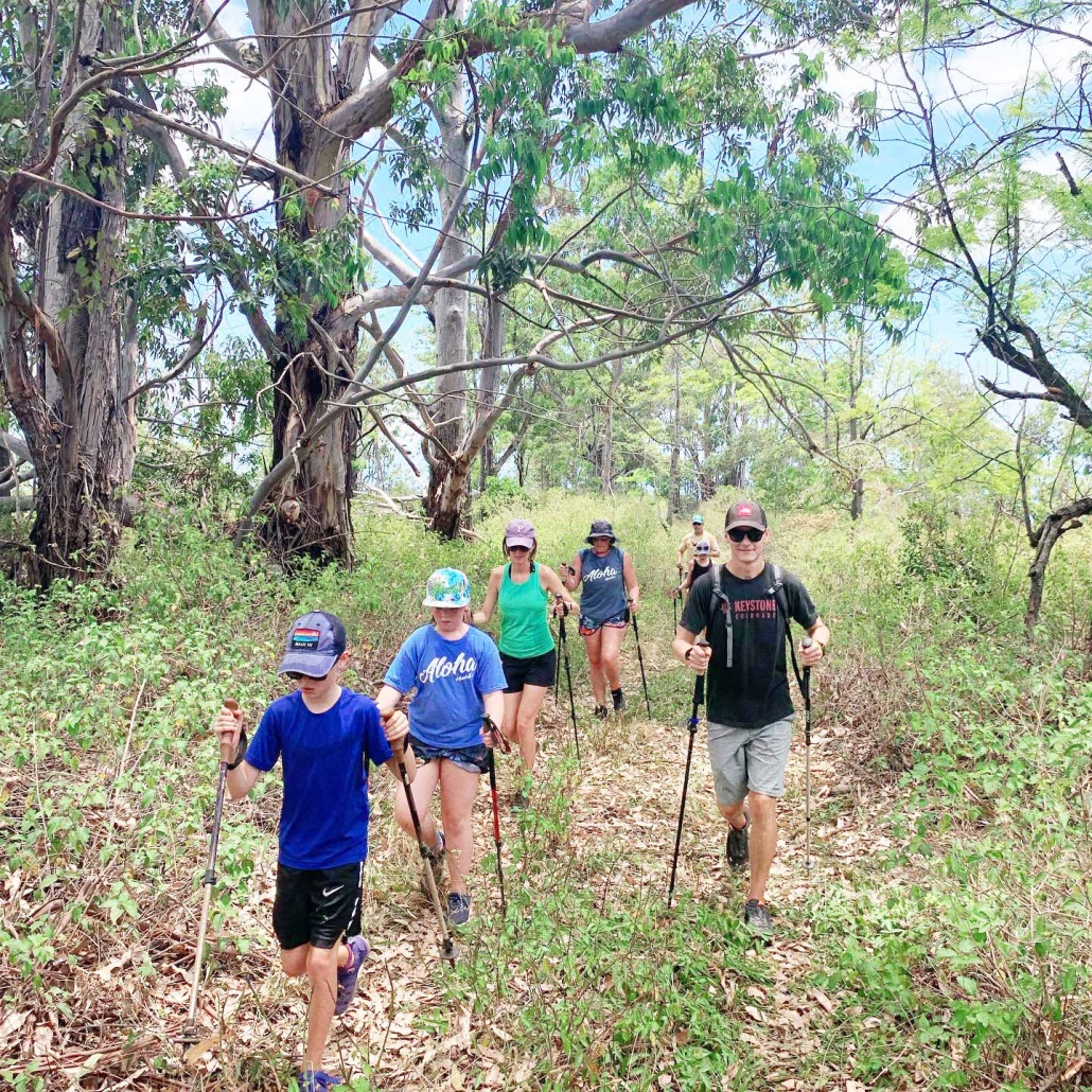 a private guided tour along the unspoiled kauai coastline kauai hiking tours