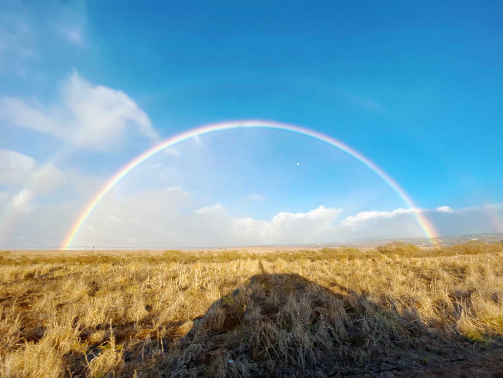 a rainbow in a blue sky over the farmland in maui hawaii by storm