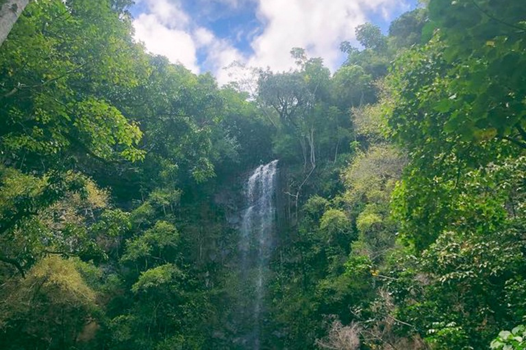 Aliikayaks Secret Falls Kayak Tour Waterfall