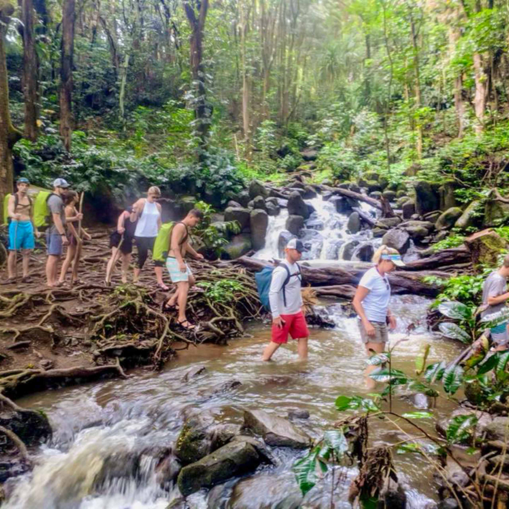 Ancientriverkayak Secret Falls Kayak Tour Visitors Go Through Forest
