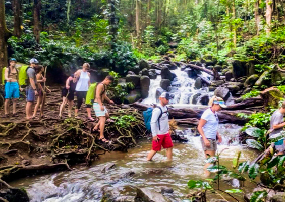 Ancientriverkayak Secret Falls Kayak Tour Visitors Go Through Forest Slider