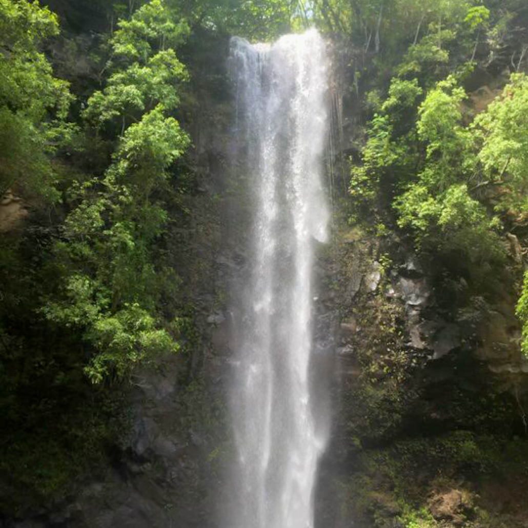 Ancientriverkayak Secret Falls Kayak Tour Waterfall
