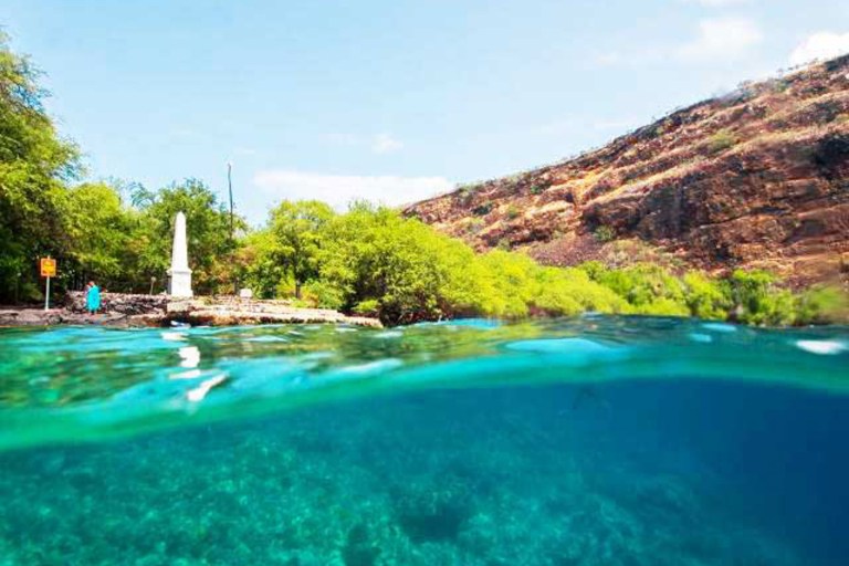 Captaincookcruises Captain Cook Rafting Snorkel Tour Feature Captain Under Water