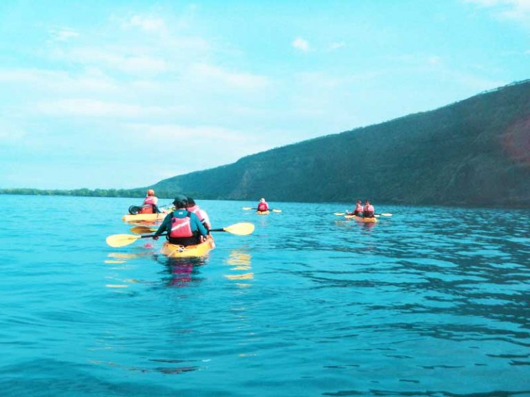 enjoy amazing views of the bay big island kayak