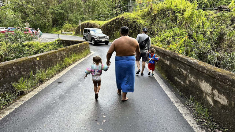 Epic Luxury Private Road To Hana Family Go Swimming