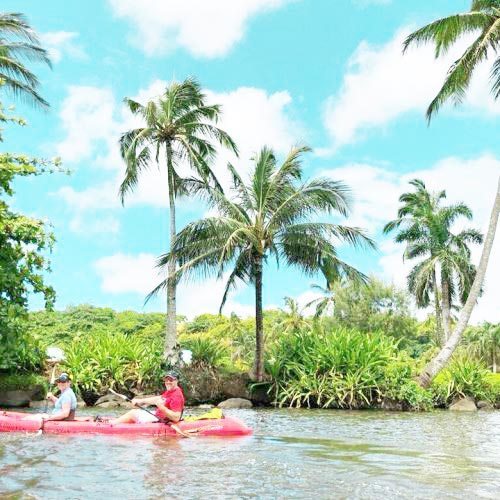 exciting entertainment and beautiful island views kauai ancient river kayak