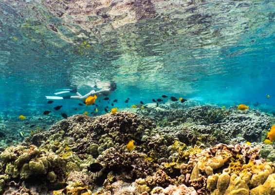 Fairwind Afternoon Kealakekua Snorkel Slider Ocean View