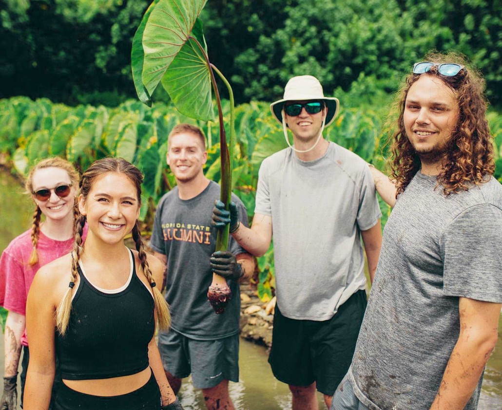 get the full hands on experience of nurturing and learning about hawaiian land kualoa ranch