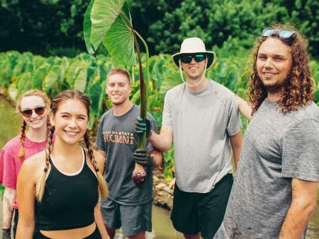 get the full hands on experience of nurturing and learning about hawaiian land kualoa ranch