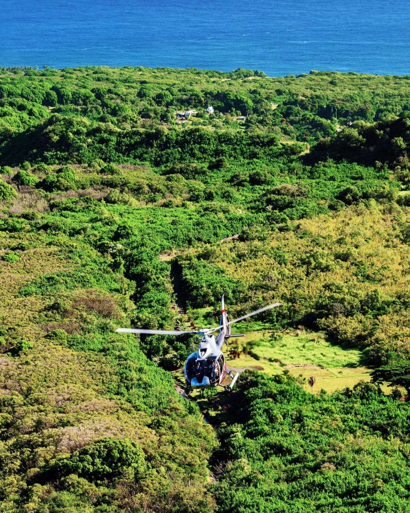 headed to the hana rainforest maverick helicopters