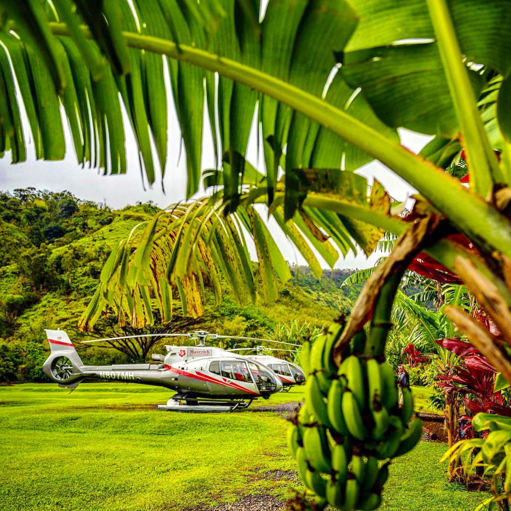 journey to the hana forest maverick helicopters