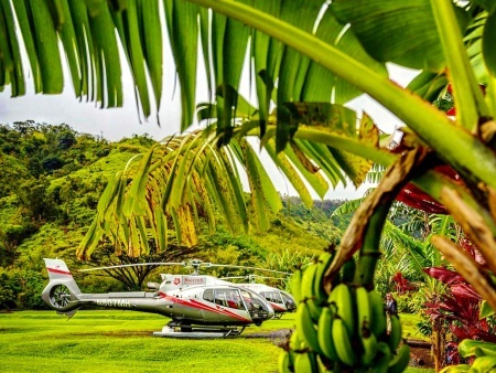 journey to the hana forest maverick helicopters