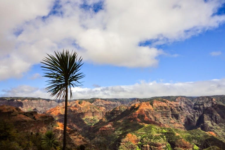 Kauaihikingtours Ultimate Adventure Slide Waimea Canyon View