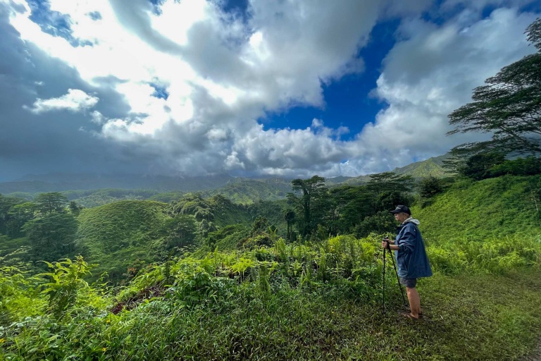 Kauaihikingtours Waimea Canyon And Kokee State Feature Stop View