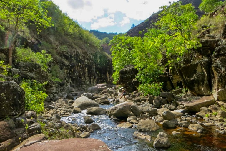 Kauaihikingtours Waimea Canyon And Kokee State Feature View Stop Waterfalls