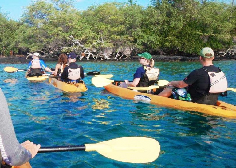 kayak the kona coast big island kayak