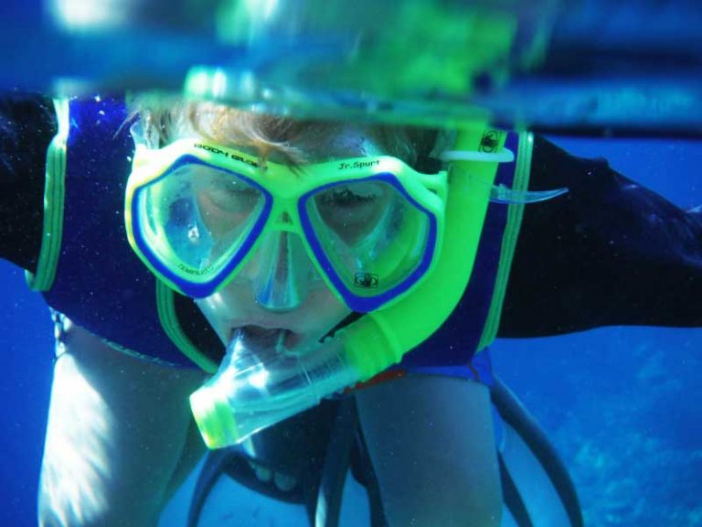 kealakekua bay the best spots for snorkeling big island kayak