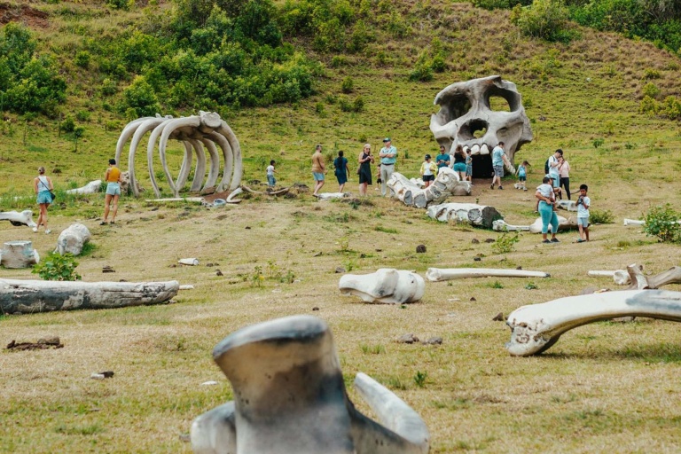 Kualoa Kualoa Ranch Combo Tour Hollywood Movie Sites Skull Island