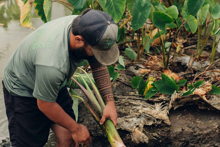 Kualoa Malama Aina Experience Feature Hawaiian Culture