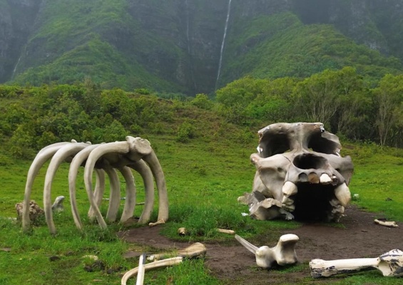 Kualoa Ranch Holly Wood Movie Site Slider