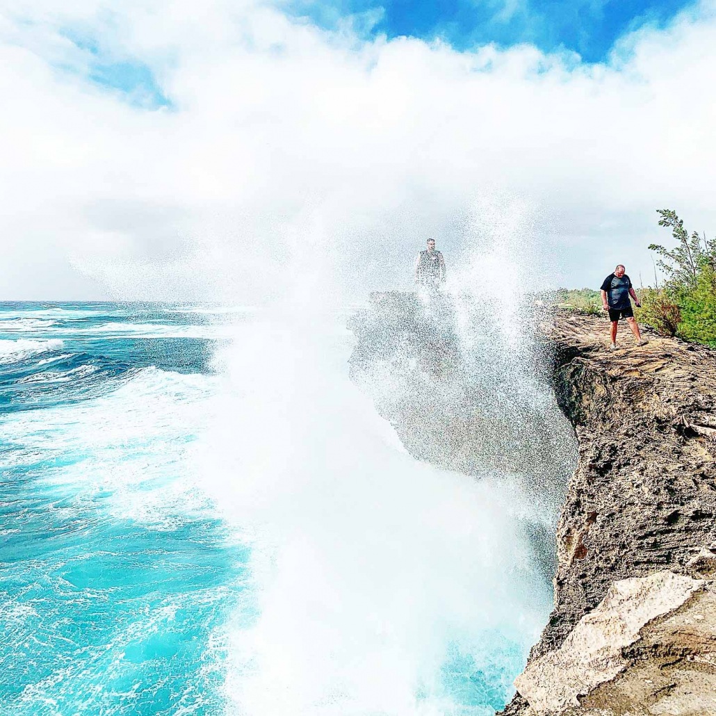 learn about the natural inhabitants of the area kauai hiking tours