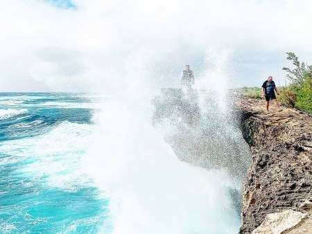 learn about the natural inhabitants of the area kauai hiking tours